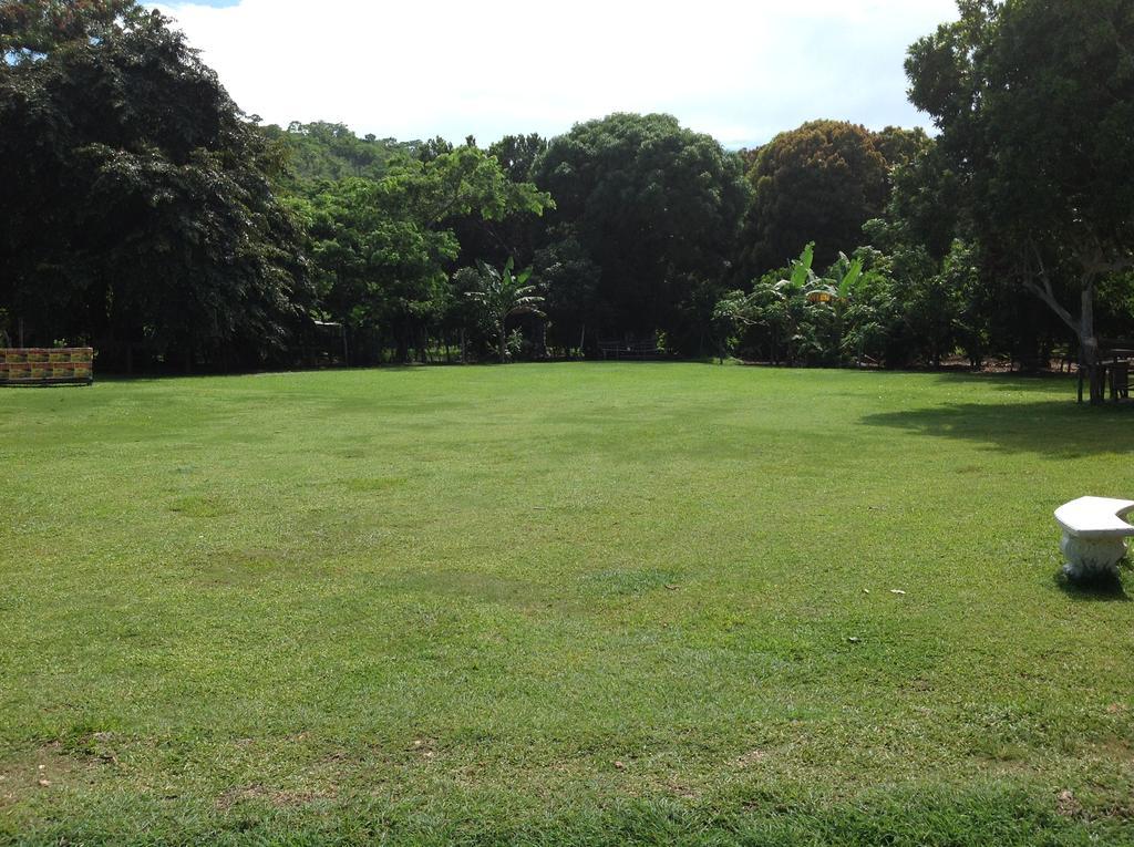 Chillax On Our Farm Guest House Ocho Rios Eksteriør bilde