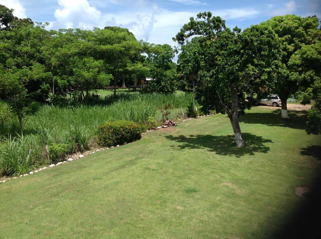 Chillax On Our Farm Guest House Ocho Rios Eksteriør bilde